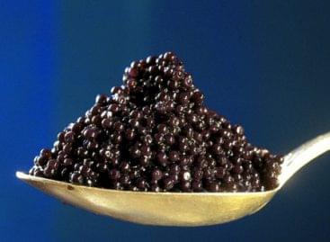 The luxury caviar of Salzburg costs hundred thousand euros