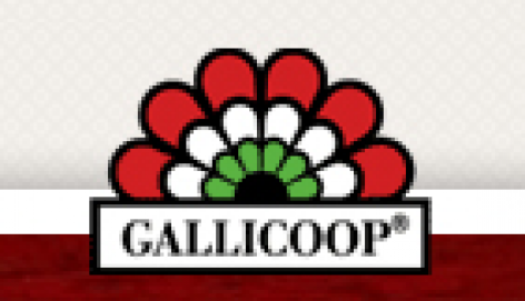 Gallicoop invested more in development than originally planned