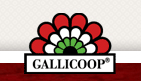 gallicoop