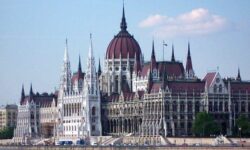 Google decides what to eat for dinner, goulash still wins