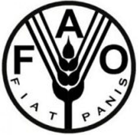 FAO food report
