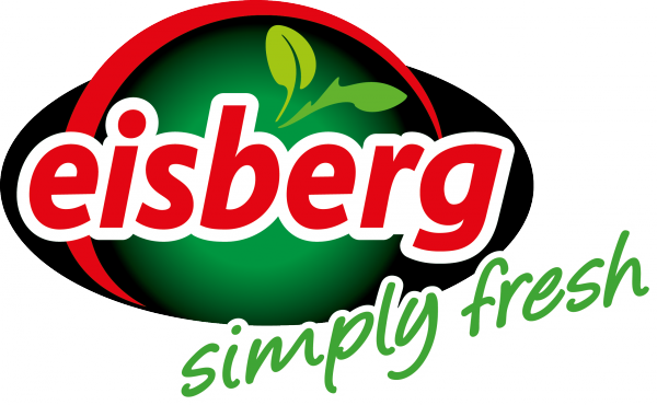 Eisberg_Logo_media