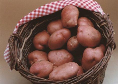 The price of new potatoes fell by half unexpectedly