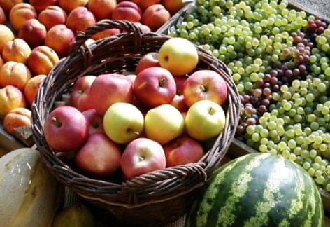 Jönnek az uniós pályázatok a zöldség- és gyümölcstermesztőknek