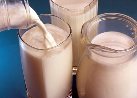 Gyanúsan olcsó UHT tejet forgalmazó cégláncolatot derített fel a NAV