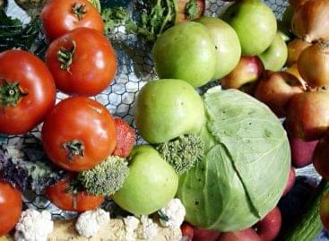 Lassan nő a fagyasztott zöldség és gyümölcs fogyasztása