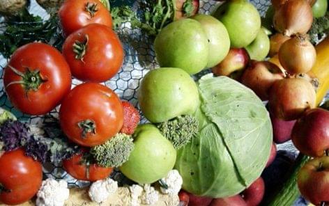 A zöldség-gyümölcs feldolgozás a magyar élelmiszertermelés 8-10 százalékát adja