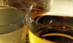 Széles alapanyag-bázisra épül az ipari alkoholgyártás – így változik a felhasználás és a fogyasztás Magyarországon