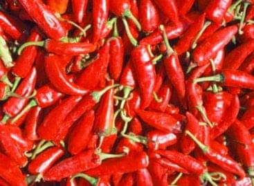 The demand for spicy food is growing dramatically in our country