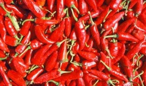 The demand for spicy food is growing dramatically in our country