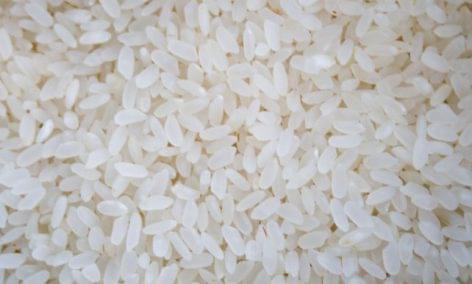 Halpusztulást okozhatott a japán rizsültetvényeken használt rovarirtó