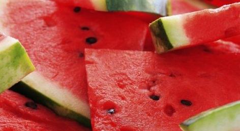 The ministry encourages the purchase of Hungarian melon