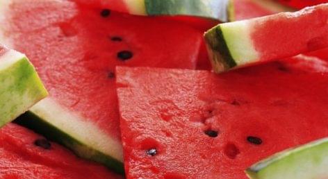 The supermarket chains buy melons from Hungarian suppliers