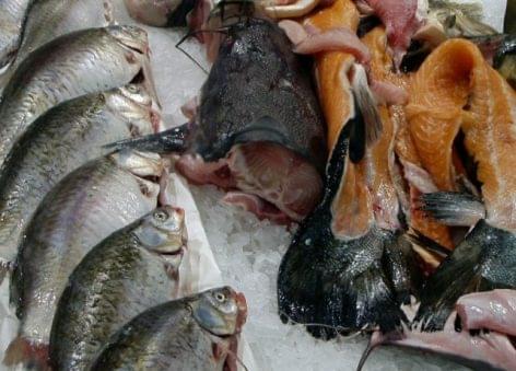 Hatszázmillió forintot szán a szaktárca a halgazdálkodási feladatok támogatására