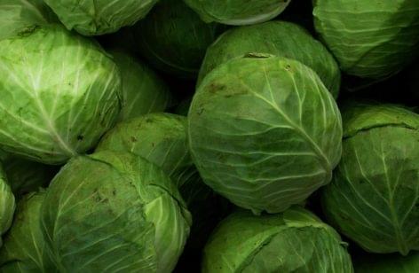 Hungary’s first International Stuffed Cabbage Festival is being held for charity