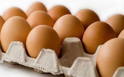 The producer price of eggs dropped further