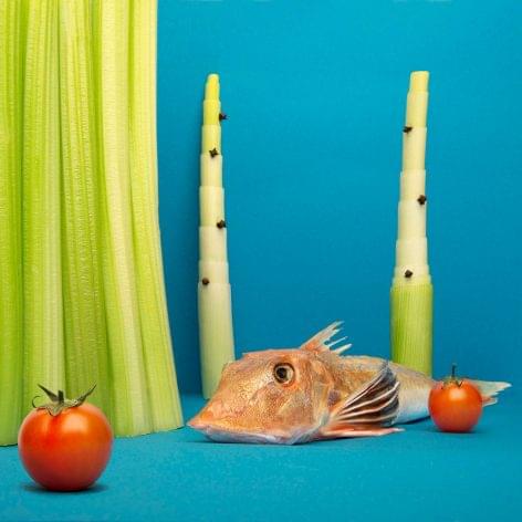 A mágia íze – A nap képe