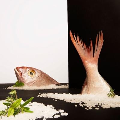 A csodaknak is van ize - A nap kepe 8