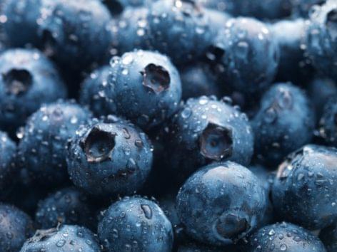 Healthdrops – Blueberries