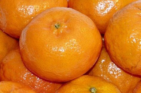 The finance guards found unmarked mandarin at the Budapest Wholesale Market