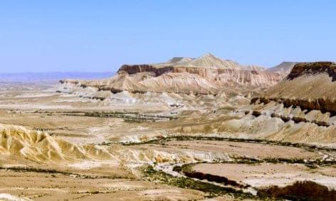 Ezerötszáz éves szőlőmagokat találtak a Negev-sivatagban