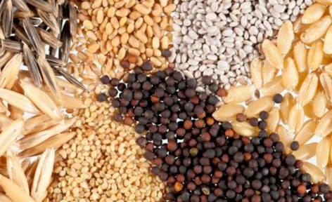 Seed sales generate 100 billion HUF turnover