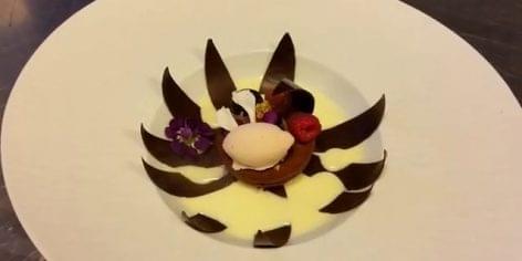 Chocolate flower – Video of the day