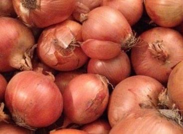 The decline of the Mako onion: what will be the fate of the traditional onion?