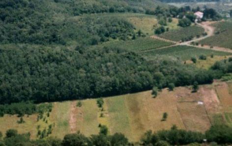 A mezőgazdasági termelés átalakításával megelőzhető Magyarországon a biodiverzitás csökkenése