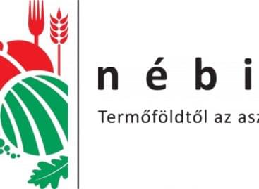 NÉBIH: Due to misleading labeling organic rice milk chocolate was withdrawn from the market
