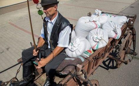Magyarok Kenyere: már 236 tonna búza gyűlt össze
