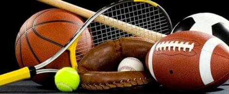 Fake sports equipments caused 850 million euros losses in the EU last year