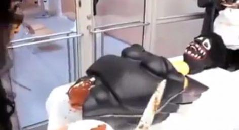 The most bizarre cake of the world – Video of the day