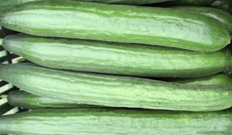 The Nébih withdrew cucumbers from circulation