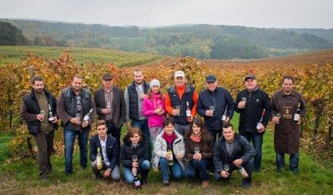 The South-Balaton Wine Road Association held a huge St Martin's day new wine show