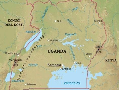 Jackfruit pálinka az ugandai mintafarmon