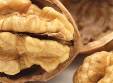 Chilean walnuts are becoming more and more popular in the domestic market