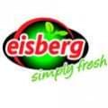 eisberg_Logo