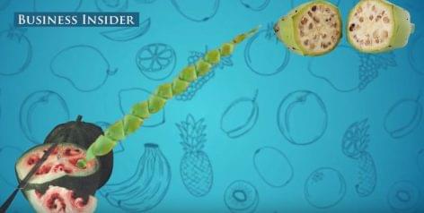 The ancestors of our vegetables and fruits – Video of the day