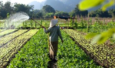 Magyar cégek építik ki Laosz élelmiszeripari rendszerét