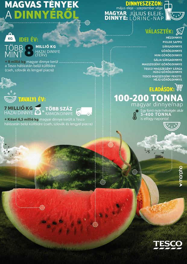 160718_Tesco_Infografika_Magvas_tenyek_a_dinnyerol