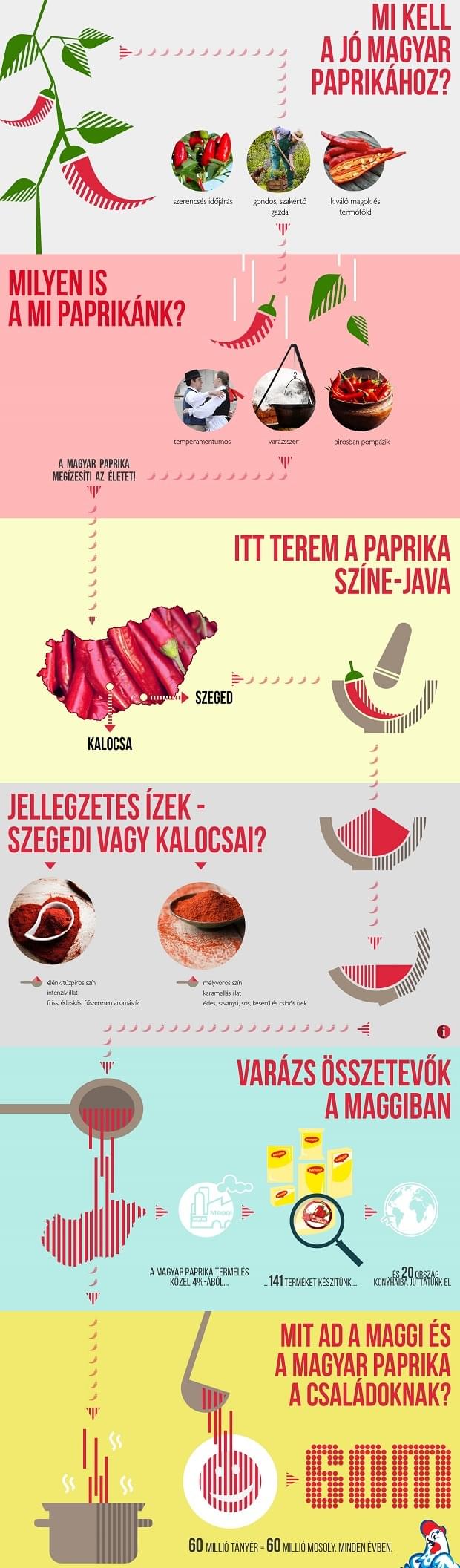 Magyar_paprika_Maggi_infografika_201607