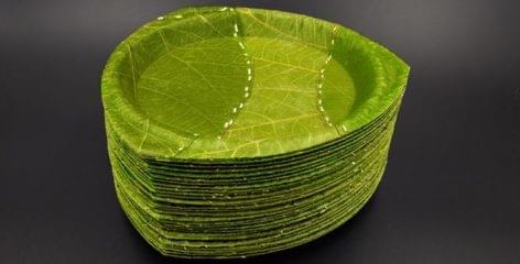 Plate made of leaves – Video of the day