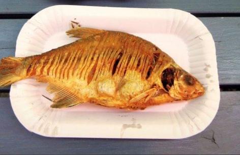 Magazine: Let’s eat locally caught fish at Lake Balaton!
