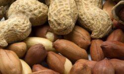 Nem minden „mogyoró” ugyanaz: fontos különbségek derültek ki a bolti kínálatról