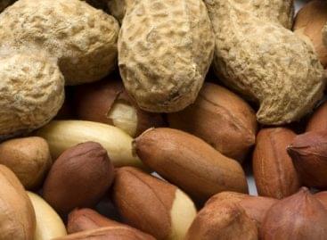 Nem minden „mogyoró” ugyanaz: fontos különbségek derültek ki a bolti kínálatról