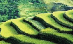 Hungarian exports are gaining new momentum: medium-sized companies are increasingly managing exchange rate risk and opening up to new markets