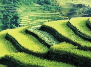 Hungarian exports are gaining new momentum: medium-sized companies are increasingly managing exchange rate risk and opening up to new markets