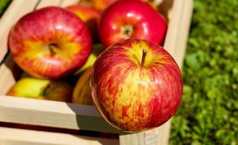 A smartphone app helps the apple growers