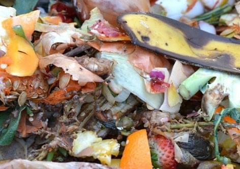 The one-fifth of world’s food production is wasted due to over-consumption and waste